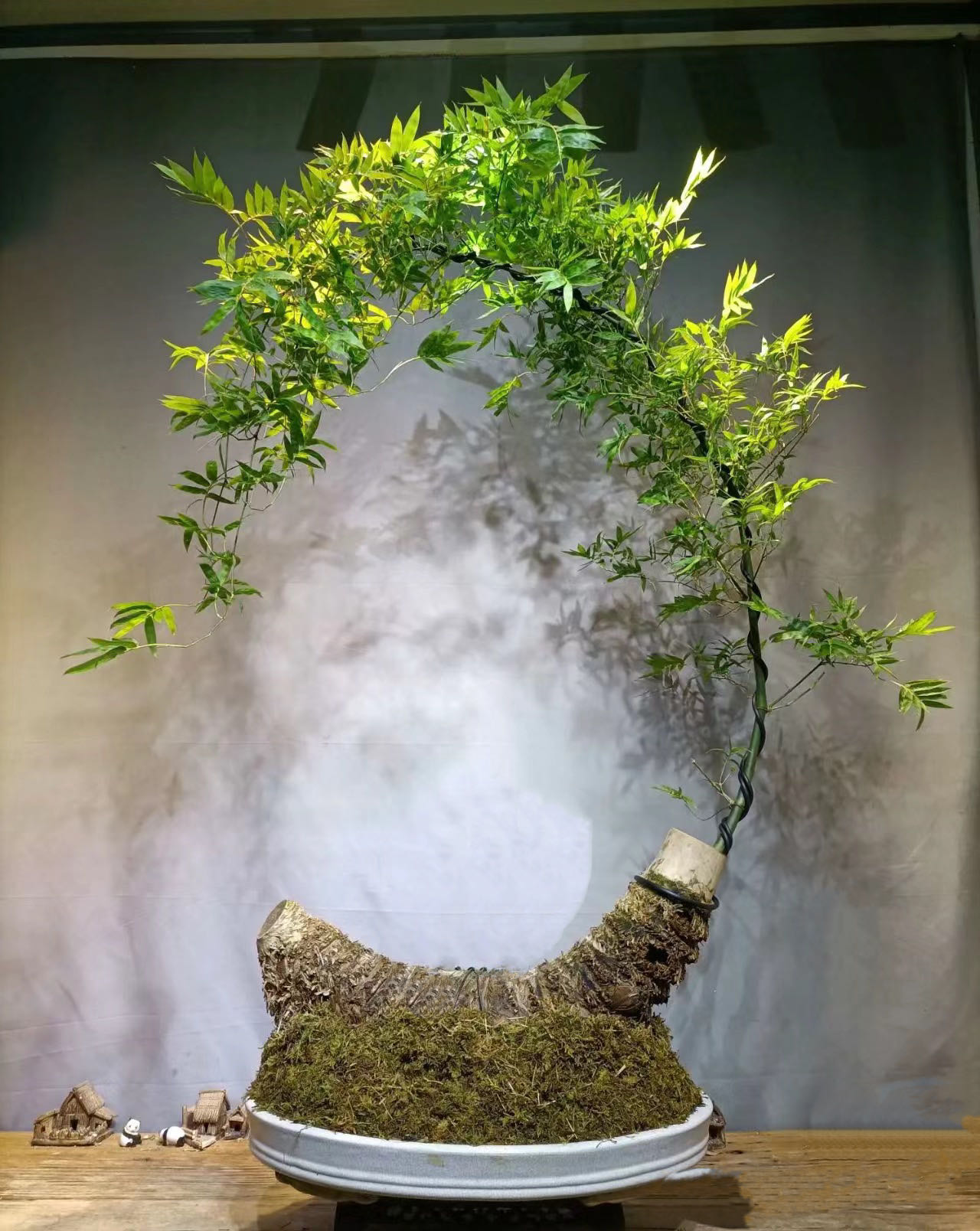 小叶勒簕竹根老桩盆景素材茶室内外绿植禅意摆件宝塔熟桩怪桩成品