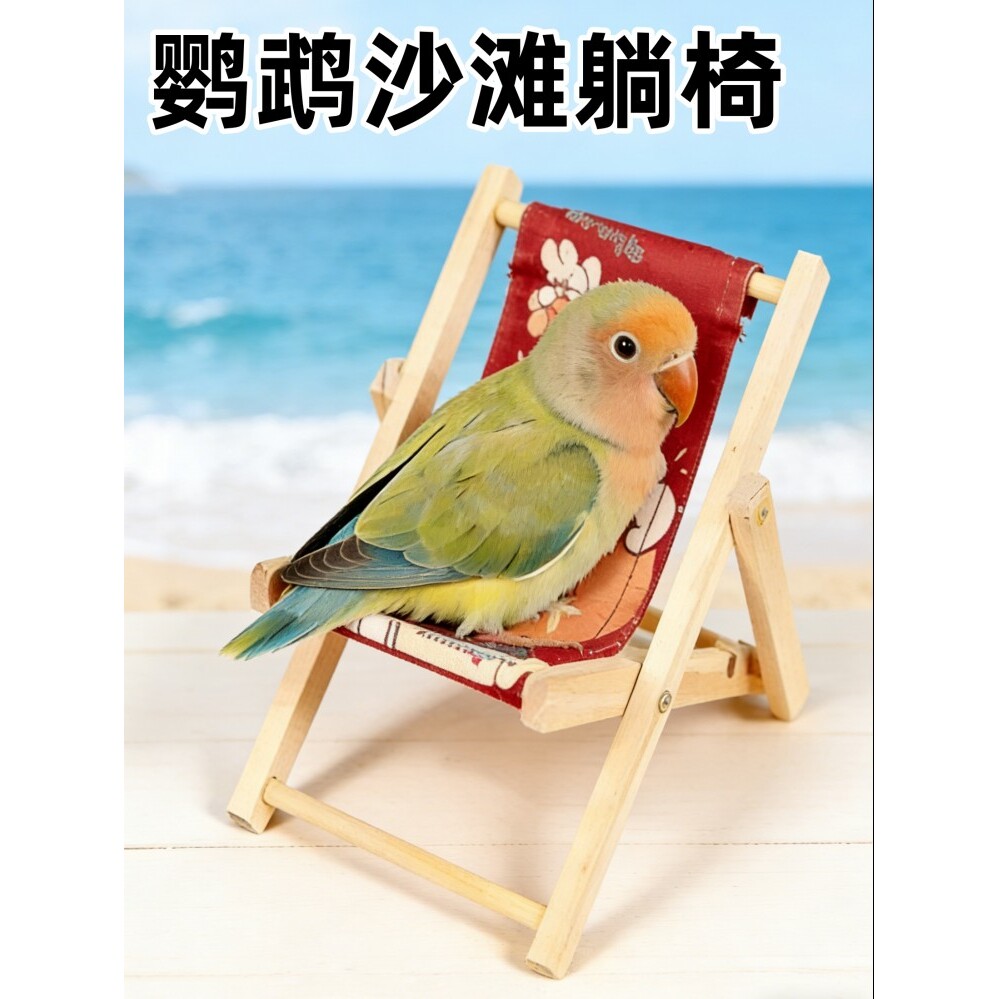 鹦鹉躺椅鸟解闷解压自嗨玩具虎皮玄凤牡丹沙滩椅和尚小太阳沙发椅