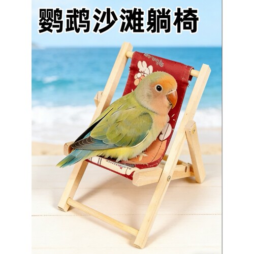鹦鹉躺椅鸟解闷解压自嗨玩具虎皮玄凤牡丹沙滩椅和尚小太阳沙发椅