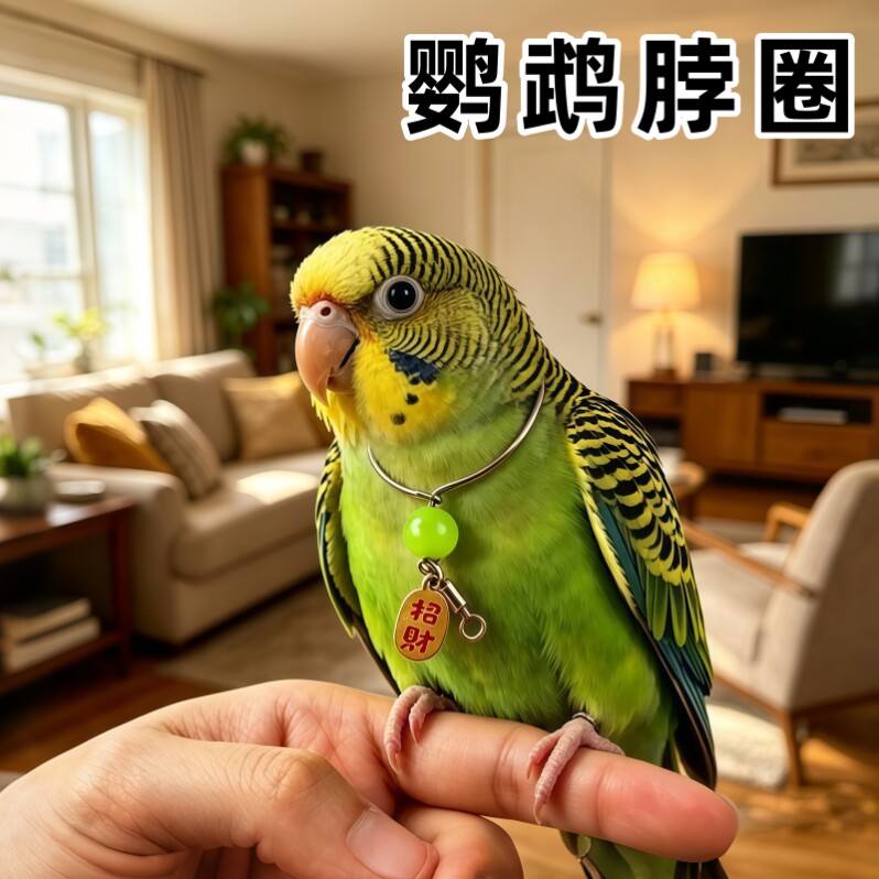 鹦鹉脖套小太阳外出遛鸟训练脖环牵引绳牡丹玄凤鸟专用放飞绳脖圈