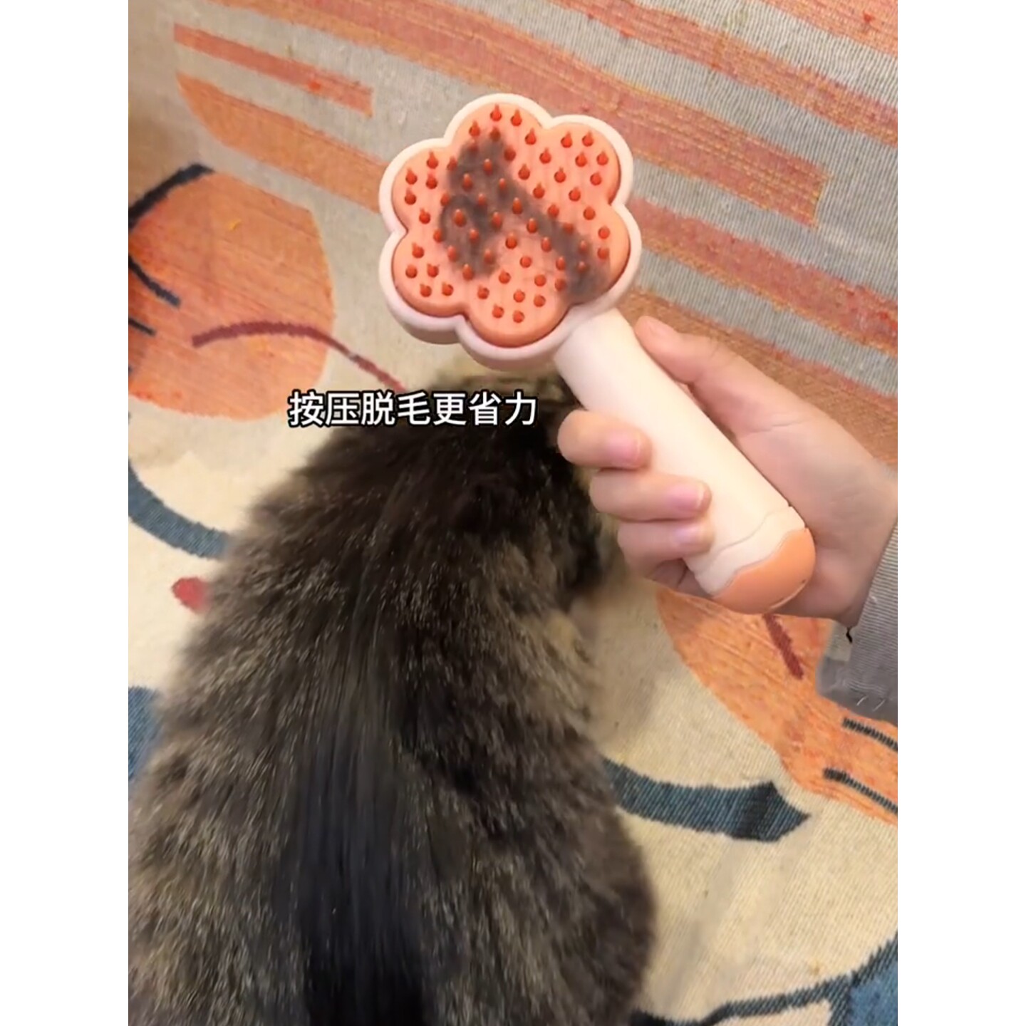 猫咪梳毛梳子一键去浮毛录音发声玩具美容猫毛清理宠物按摩梳狗梳