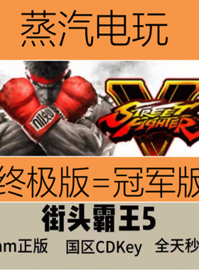 steam正版 街头霸王5 冠军版 国区CDKEY Street Fighter V 激活码