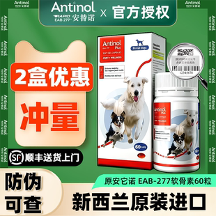 新西兰安替诺Antinol277安适得犬猫髌骨软骨素狗猫宠物关节安它诺