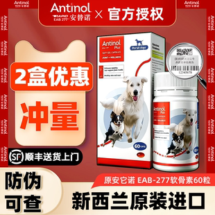 新西兰安替诺Antinol277安适得犬猫髌骨软骨素狗猫宠物关节安它诺