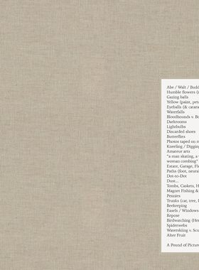 【预售】A Pound of Pictures 一磅图片 进口书籍 摄影书籍