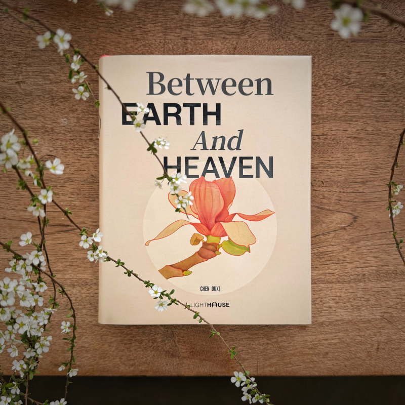 Between Earth And Heaven云蒸霞蔚艺术绘画摄影集