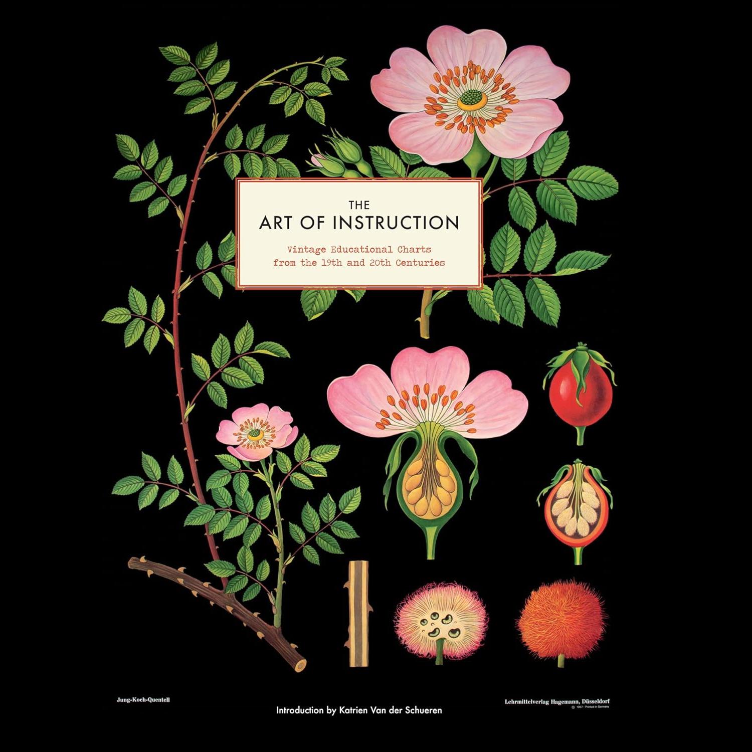 【预售】教学艺术：19 世纪和 20 世纪的复古教育图表 The Art of Instruction 进口书籍