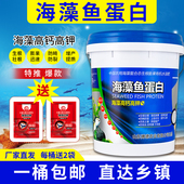 海藻鱼蛋白水溶肥叶面肥果树蔬菜冲施肥桶装 高钙高钾有机水溶肥料