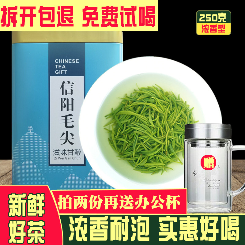 信阳毛尖盒装雨前耐泡茶芽叶250g