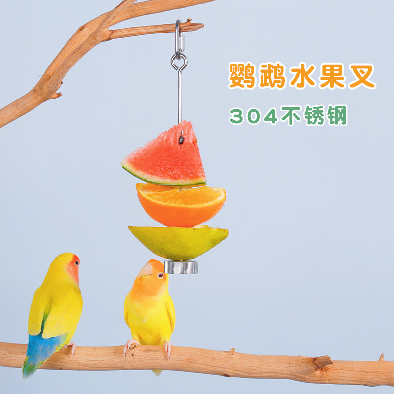 鹦鹉鸟用不锈钢水果叉啃咬玩具水果棒喂食器鸟类喂水果专用夹子