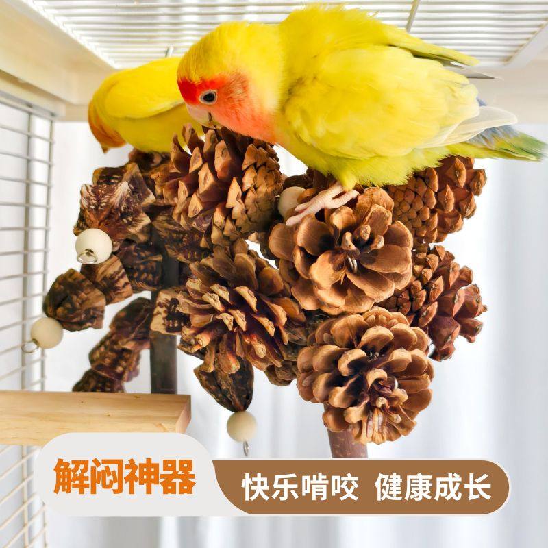 鹦鹉专用小挂串攀爬啃咬磨牙玩具解闷自嗨牡丹玄凤和尚玩具大全,宠物/宠物食品及用品,鸟玩具,淘宝优惠券,粉丝福利购,淘宝优惠卷