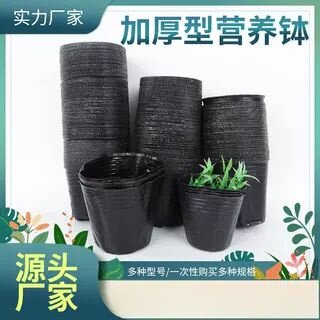 营养钵育苗盆加厚一次性塑料花盆黑色育苗杯营养袋果树苗种植盆