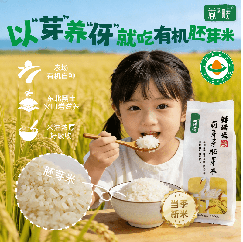 谦益香畴生态胚芽米当季新米东北稻花香宁安石板大米营养粥米500g