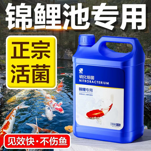 锦鲤鱼池用消化硝化细菌液分解鱼便净化水质稳定剂养鱼缸用净水剂