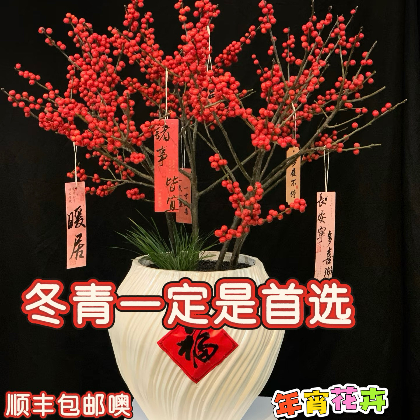 年宵花卉 冬青盆栽花期长过年送礼物花卉寓意好多籽多福红红火火
