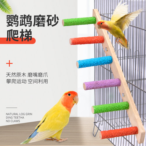 象勇鸟用爬梯可爱纯天然