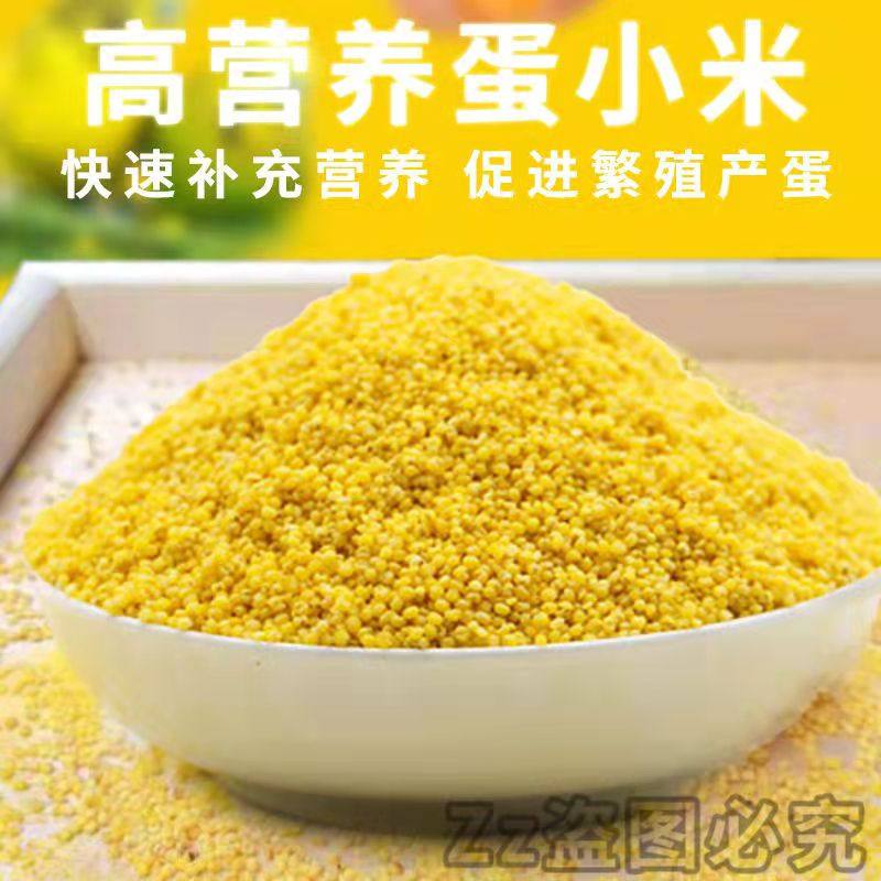 蛋小米鸡蛋米鹦鹉繁殖饲料鸟食无壳黄炒小米玄风牡丹文鸟促进踩背,宠物/宠物食品及用品,鸟食,淘宝优惠券,粉丝福利购,淘宝优惠卷