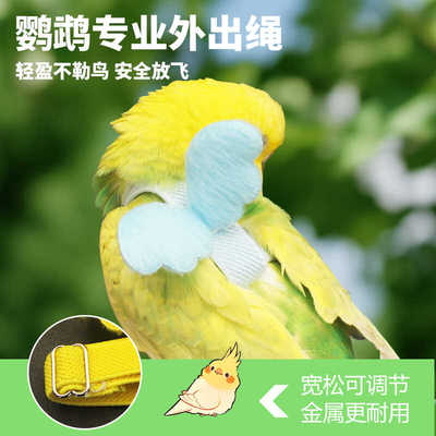鸟用鹦鹉放飞绳牵引绳背带
