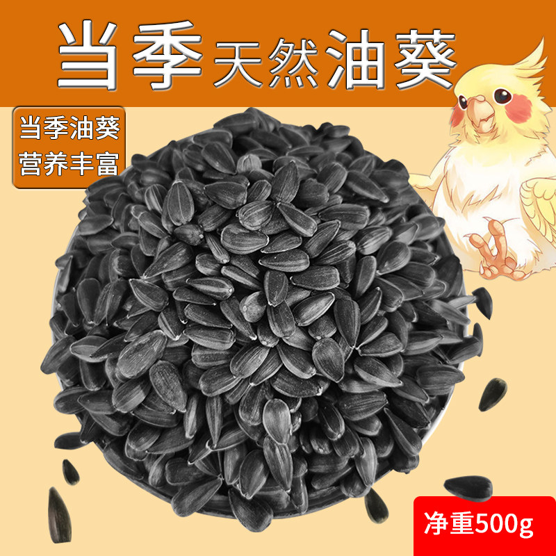 牡丹虎皮鹦鹉饲料小瓜子油葵籽鸟粮宠物鸟食仓鼠零食一斤装鸟零食,宠物/宠物食品及用品,鸟食,淘宝优惠券,粉丝福利购,淘宝优惠卷