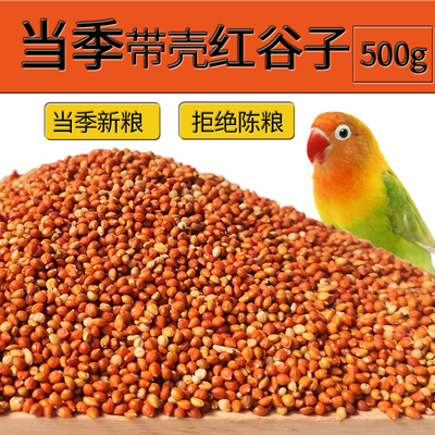 鹦鹉鸟粮饲料红谷子带壳小米新粮食玄凤专用虎皮牡丹中小型鸟食