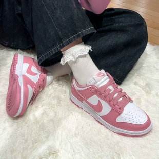 缓震运动休闲板鞋 LOW女子低帮轻便时尚 DD1873 DUNK Nike耐克25新款