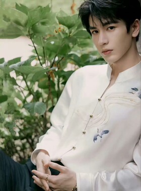 张凌赫同款中式风杏色立领衬衫飞鹤流苏刺绣醋酸长袖高级轻奢感潮