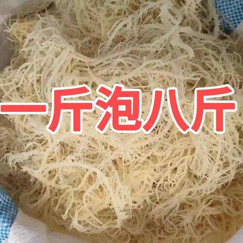 龙须菜干货鹿角菜1斤泡发8斤海石花菜海产海藻素食凉拌菜