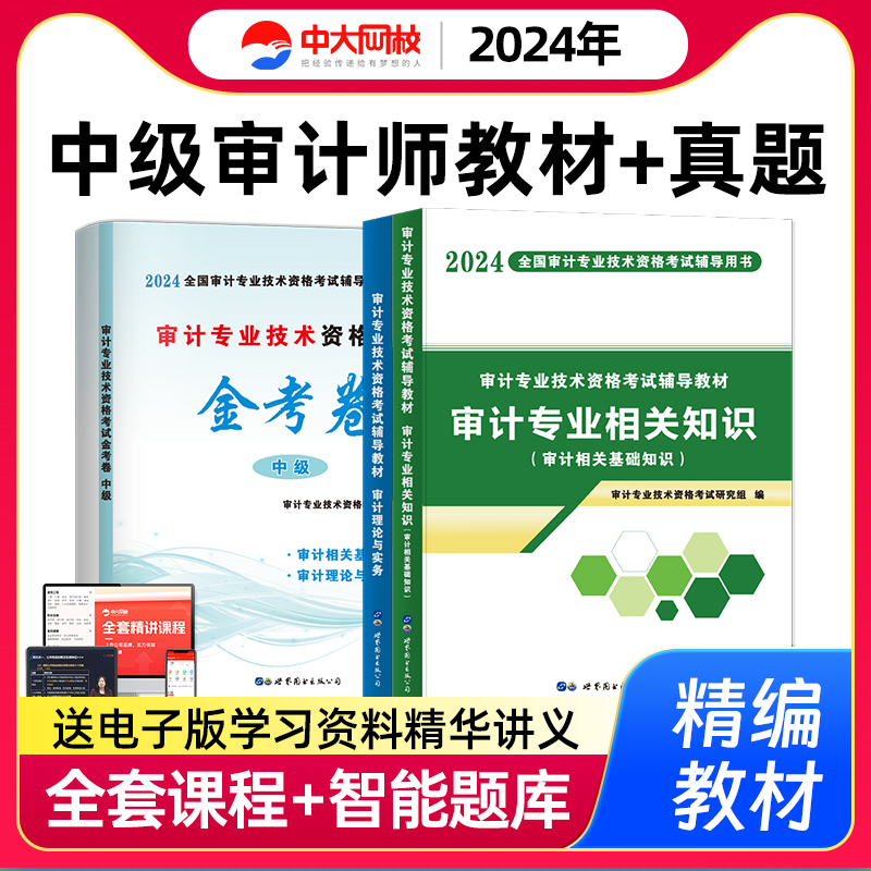 新版2024年中级审计师考试教材历年真题试卷3本套审计理论与实务审计专业相关知识审计师中级教材2024年中级审计师教材题库 书籍/杂志/报纸 注册审计师执业资格考试 原图主图