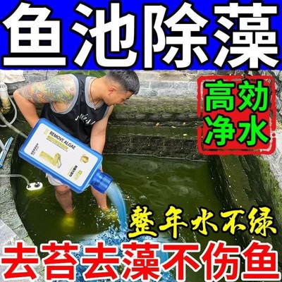 鱼塘除铁锈水池发绿改底消毒杀菌除藻浊清水质净化剂养殖场漂白粉