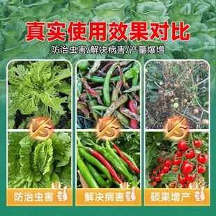 撒施型清病菌颗粒除虫杀虫防虫抗土传有机肥瓜果蔬菜农田通用颗粒