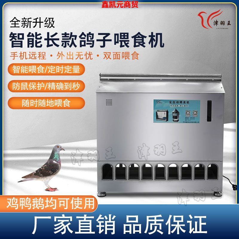 津羽王赛鸽子用品用具自