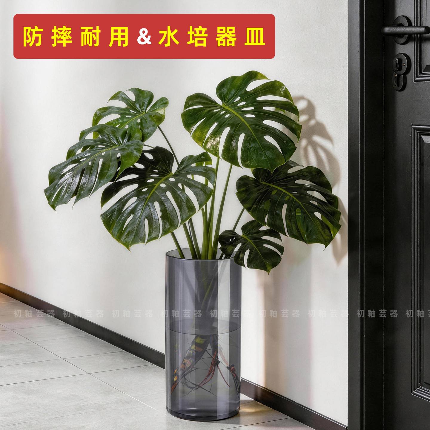 大口径水培专用器皿龟背竹花盆图片