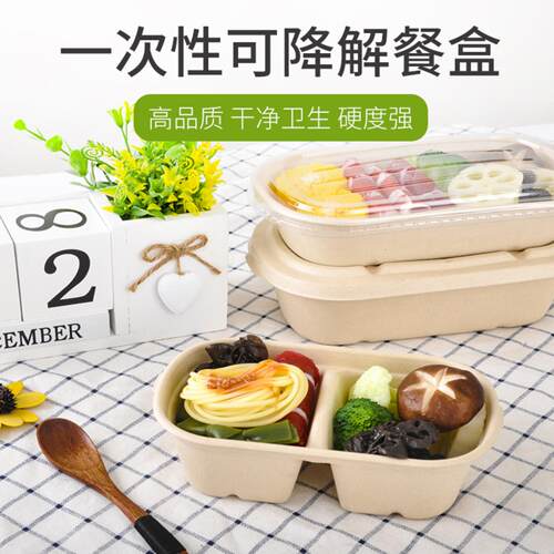 一次性纸浆餐盒可降解饺子快餐盒