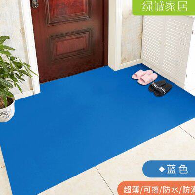 超薄地垫超薄地垫1mm不卡门pvc可擦洗入户门玄关防水防滑地毯进门