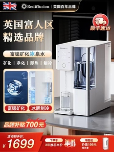 瑞迪生制冰水冷饮净水器台式即加热家用小型直饮RO一体机矿物质