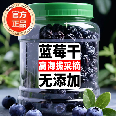 蓝莓干无添加果干大果野