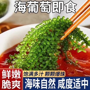 儿童海葡萄即食绿色鱼子酱泡发小孩吃 新鲜盐渍官方旗舰店