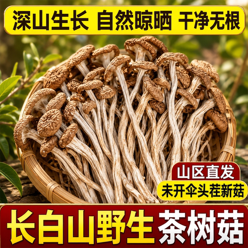正宗古田茶树菇干货特级香菇菌香浓肉质厚炖鸡炖排骨鲜美食材新鲜