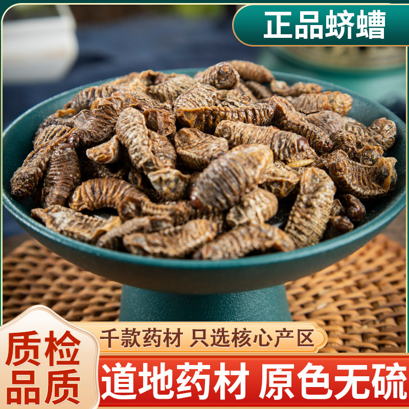 蛴螬中药材500克 粪虫 地蚕 核桃虫 应条 乳齐 老母虫 新货无异味