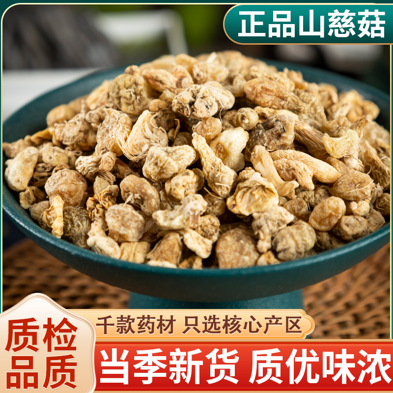 野生山慈菇茅毛慈菇山茨姑冰球子中药材磨粉无硫新鲜干货500g包邮
