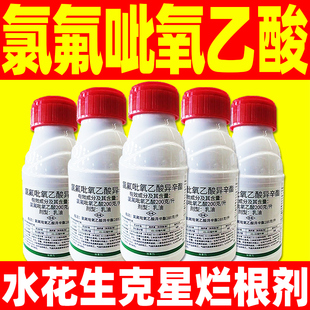 氯氟吡氧乙酸异辛酯水花生克星烂根剂革命草水花生克星专用除草剂