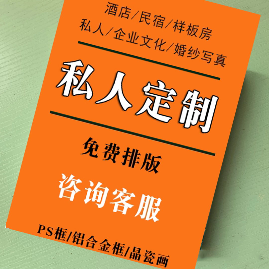 定制专拍链接差价大尺寸装饰画