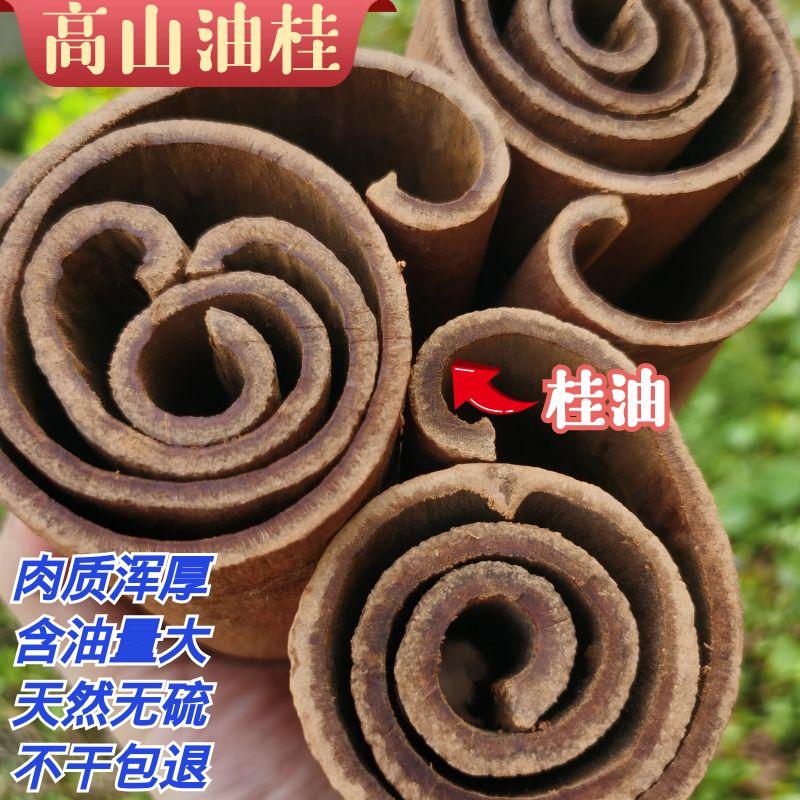 广西无硫油桂肉桂紫油桂原产地