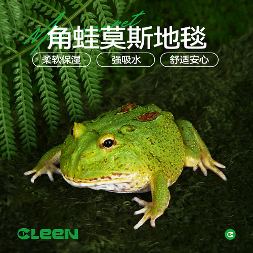 其鳞爬宠莫斯地毯垫料