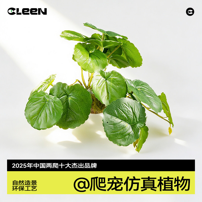 其鳞仿真植物爬宠饲养箱黄缘龟缸专用生态缸雨林造景躲避装饰绿植,宠物/宠物食品及用品,爬宠躲避/造景,淘宝优惠券,粉丝福利购,淘宝优惠卷