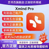 Xmind Pro激活ipad订阅Win平板Mac电脑ios苹果一年for手机 2026