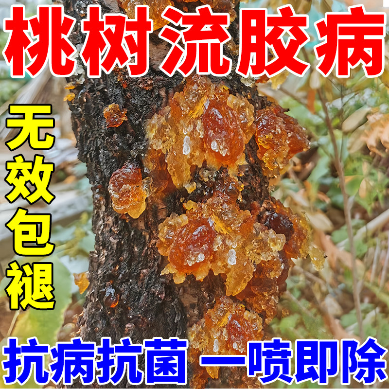 桃树流胶病专用药果树一喷净杏子树柑橘树腐烂疮痂流胶通用杀菌剂