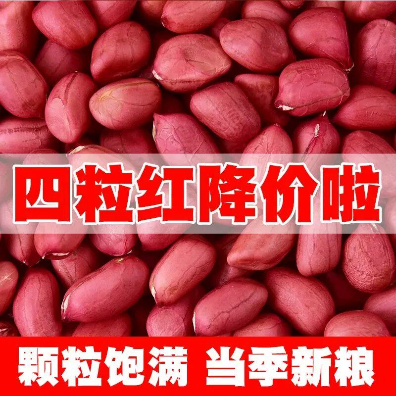 新货红皮花生米生农家自产红衣生花生新鲜花生杂粮净重发货四粒红