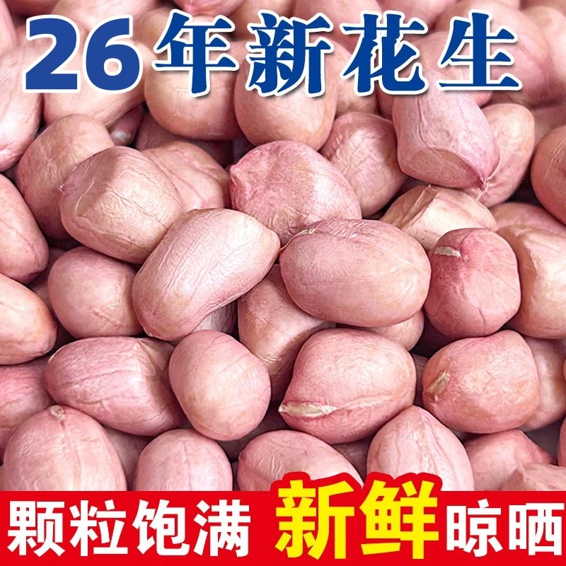 2026年新鲜花生米新货白沙生花生米大颗粒农家自种散装去壳花生仁