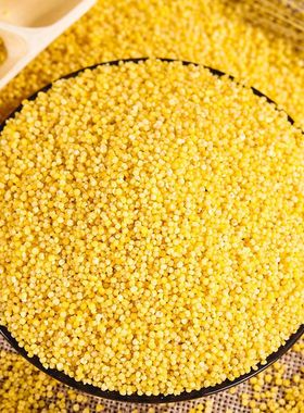 东北农家自产黄小米新米小米子宝宝米月子米煮粥五谷杂粮粗粮包邮